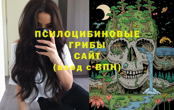 кокаин Алексеевка