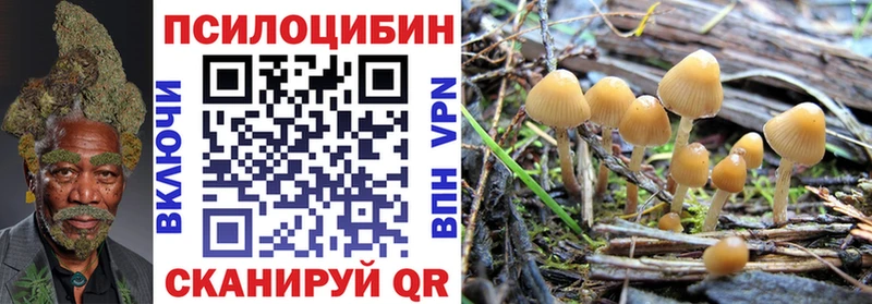 Псилоцибиновые грибы Psilocybine cubensis  даркнет состав  Жирновск 